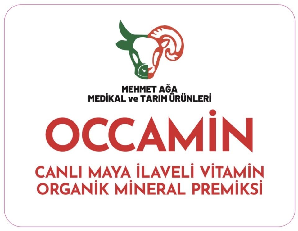 Occamin