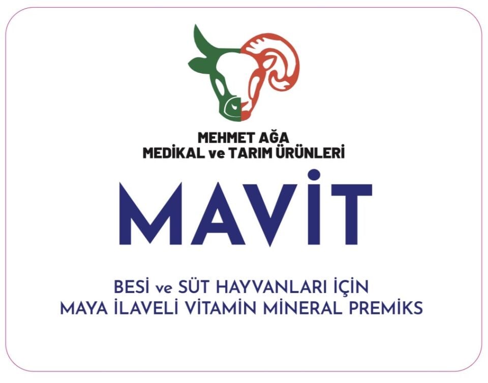 Mavit