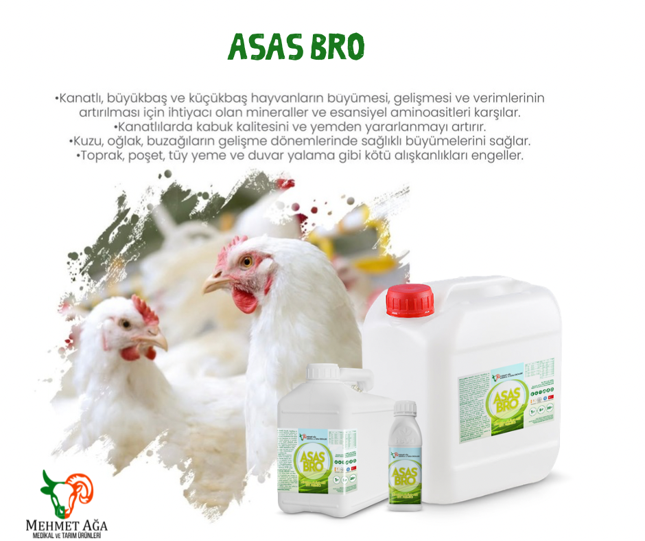 Asas Bro