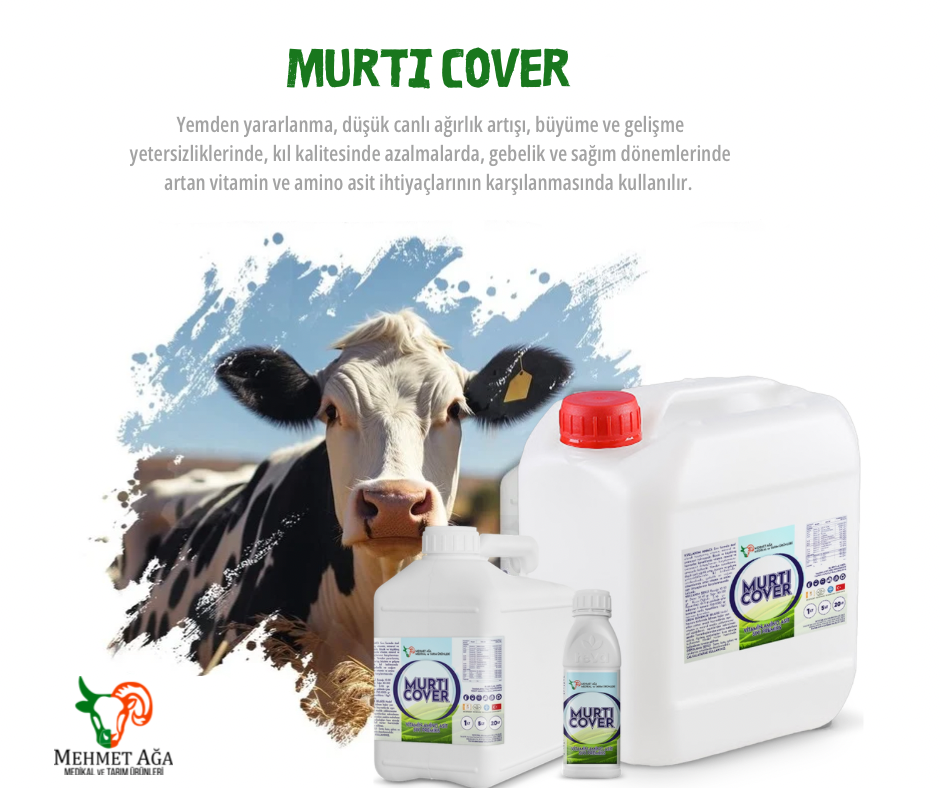 Murti Cover